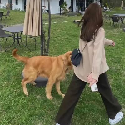 疯拳癫腿